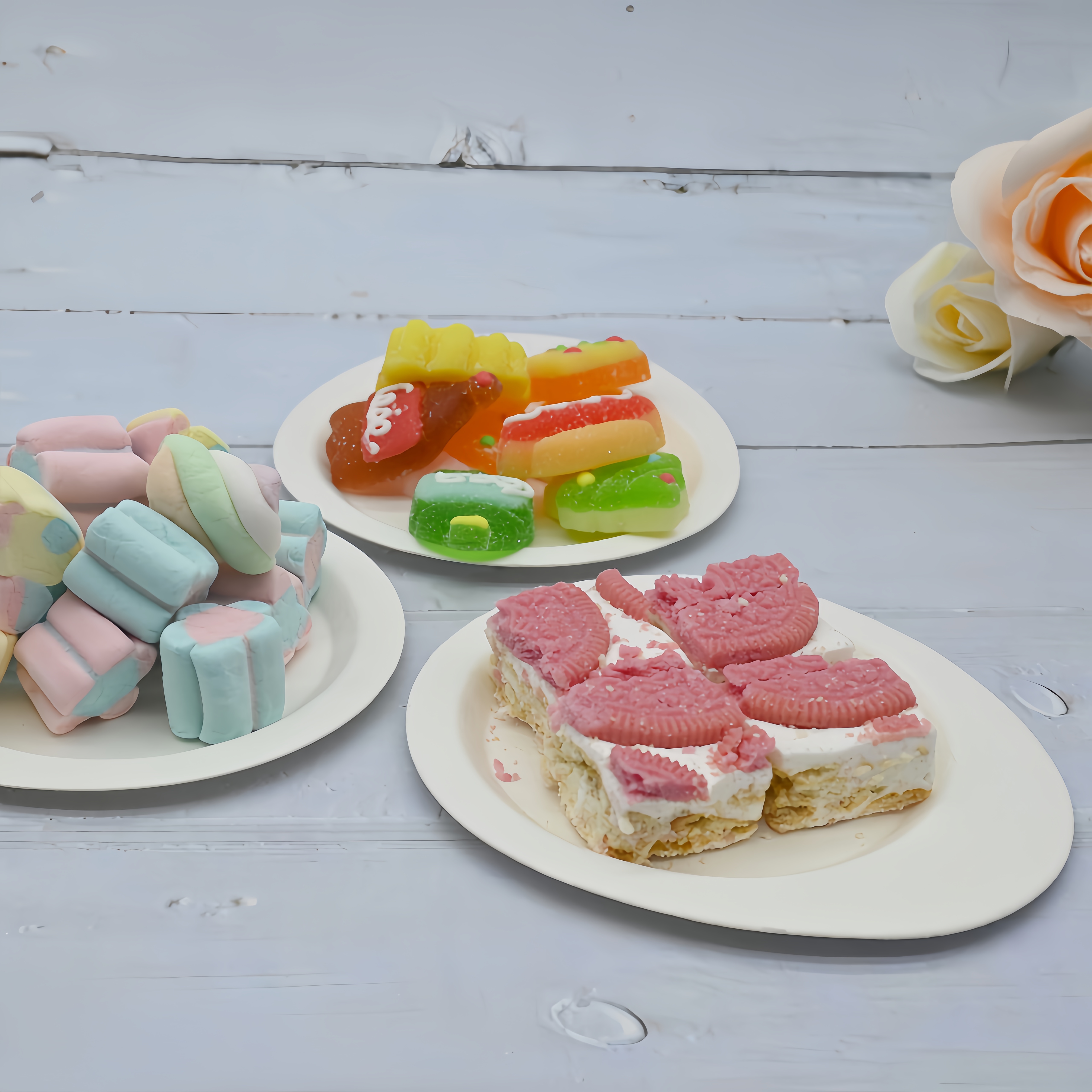 compostable sugarcane bagasse oval plates
