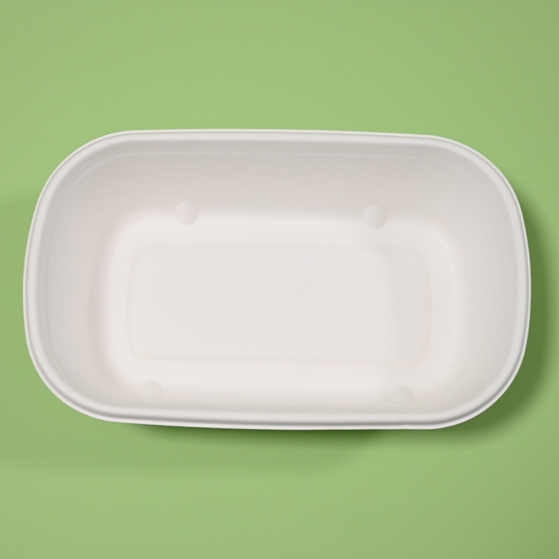 sugarcane takeaway food container (1)