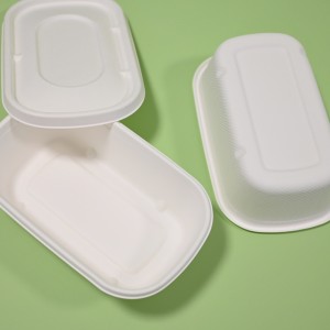 sugarcane takeaway food container (4)