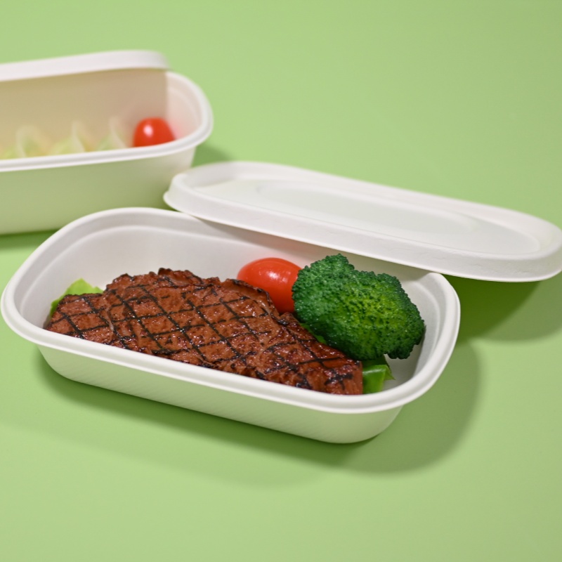 compostable 500ml bio-sugarcane pulp haidilao packing box-new arrival