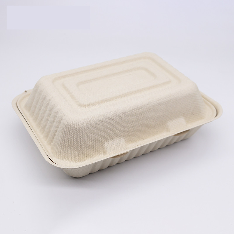 Take Out Container Bagasse Clamshell