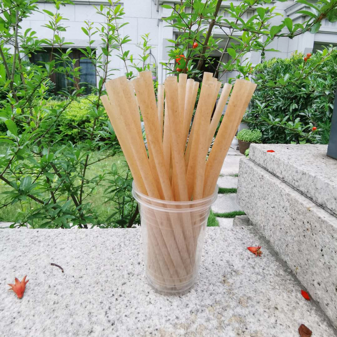 disposable composable bagasse straw
