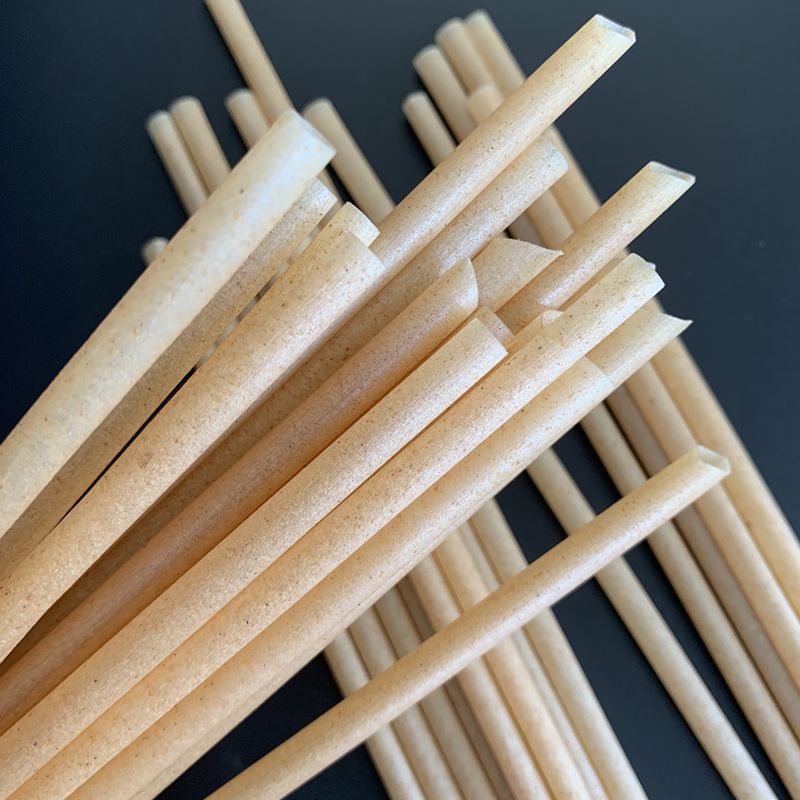 disposable composable bagasse straw