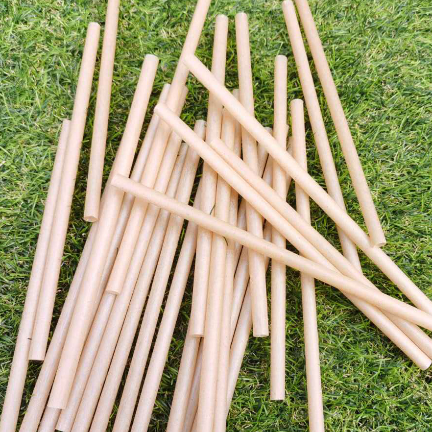 disposable composable bagasse straw