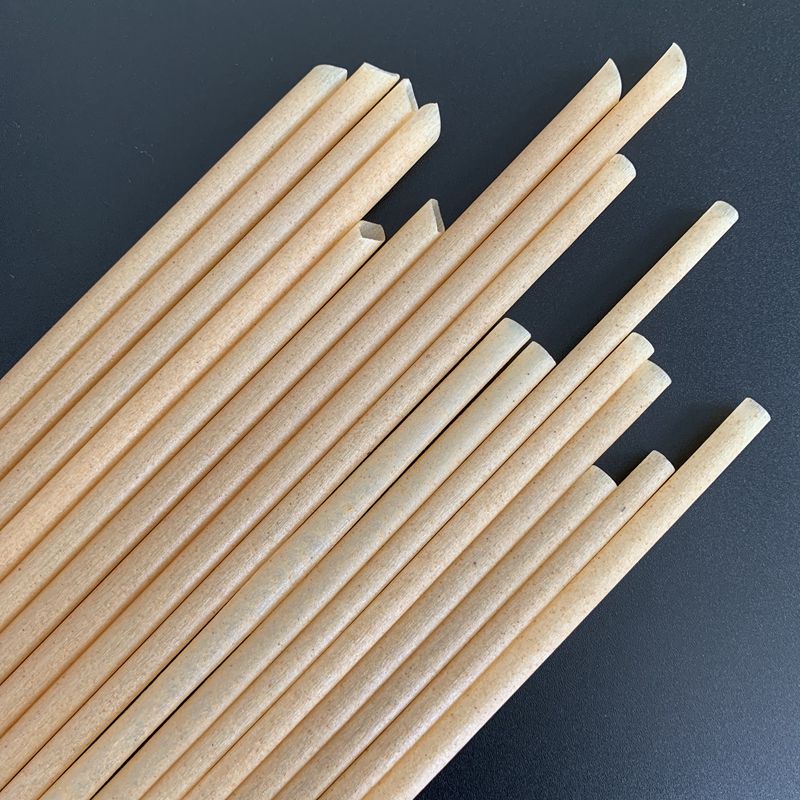 disposable composable bagasse straw